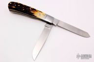 Two-Blade Trapper - Amber Stag