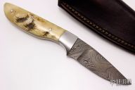 Damascus and Sheep Horn Hunter