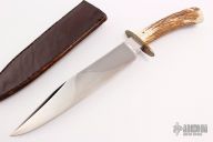 Stag Bowie