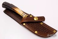 Bird and Deer Hunter