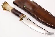 Crown Stag Bird and Deer Hunter