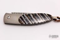 Safari Club International