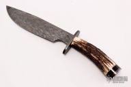 Damascus and Stag Bowie