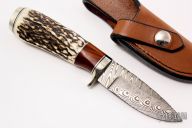 Damascus and Elk Drop Point Hunter