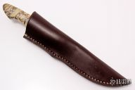 Bird and Trout - Mammoth Tooth