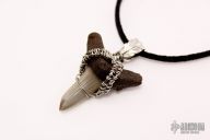 Shark Tooth Necklace