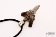 Shark Tooth Necklace
