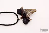 Wire Wrapped Sharks Tooth Necklace