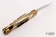  Rocky Mountain Elk Foundation Lockback #183