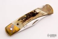  Rocky Mountain Elk Foundation Lockback #183