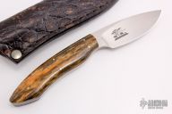 Scavenger - 35th Anniversary - Giraffe Bone 