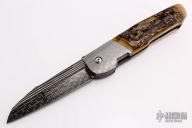 Single Issue Flipper - Galactic Bacon and Mastodon Tusk