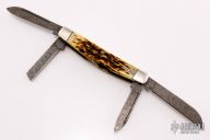 4 Blade Congress - Damascus