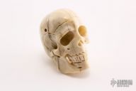 Carved Bone Skull