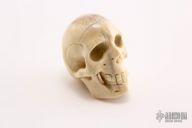 Carved Bone Skull