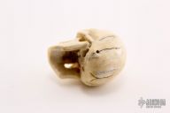 Carved Bone Skull
