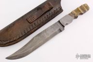 Damascus and Sheep Horn Bowie