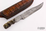 Damascus and Sheep Horn Bowie