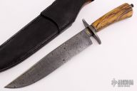 Damascus Bowie - Spalted Maple