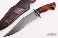 Damascus and Burl Wood Recurve Bowie Fighter