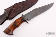 Damascus and Burl Wood Recurve Bowie Fighter