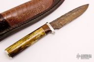 Hunter - Zebra Bone w/ Birds eye pattern 