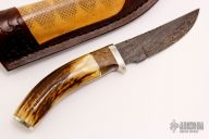 Hunter - Stag w/ W-Twist Pattern