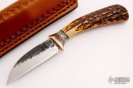 Warncliffe Pocket Knife - Stag
