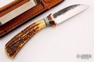 Warncliffe Pocket Knife - Stag