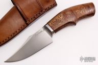 Kingfisher - Sycamore