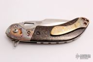 Wayfarer Compact - WC352