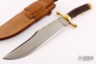 Stag Bowie 2006