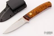 Model 4 Bird and Trout