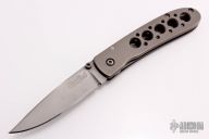 Titanium Leopard