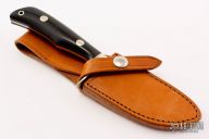 Model 1 - Dotted Lile