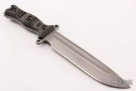 Team Gemini Light Bridgade