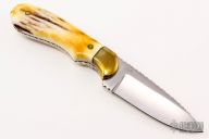 Drop Point Hunter - Stag