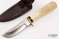 Z2 Skinner