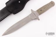 Schanz Integral Dagger