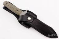 Schanz Integral Dagger