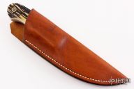 Engraved Stag Skinner