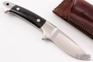 Small Drop Point Integral Hunter