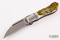 Swayback - Jigged Bone