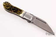 Swayback - Jigged Bone