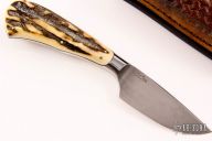 Integral Personal Fixed