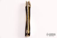 Blacklip MOP Leverlock