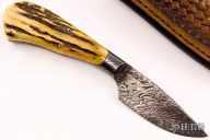 Integral Damascus Personal - Stag