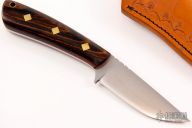 Lil Whitetail Hunter