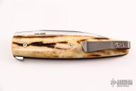 Wharncliffe Flipper with Stag