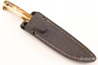 Sweet Tooth - Prototype 105